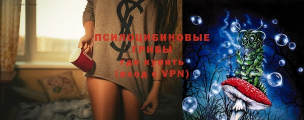 ПСИЛОЦИБИНОВЫЕ ГРИБЫ Алексин