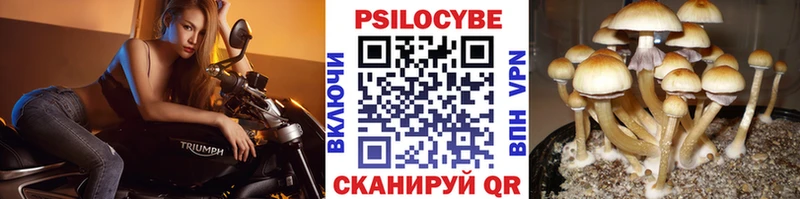 Псилоцибиновые грибы мицелий  что такое наркотик  Калач-на-Дону 