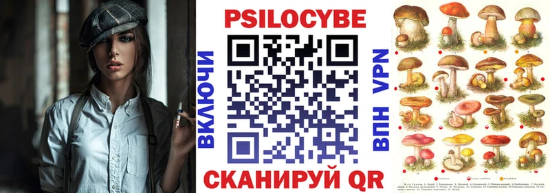 Галлюциногенные грибы Psilocybine cubensis Калач-на-Дону