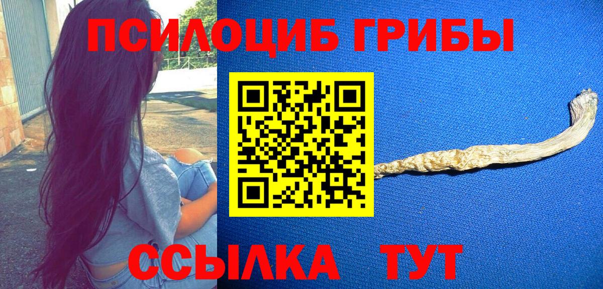 Псилоцибиновые грибы Cubensis  Вход с VPN  Калач-на-Дону 