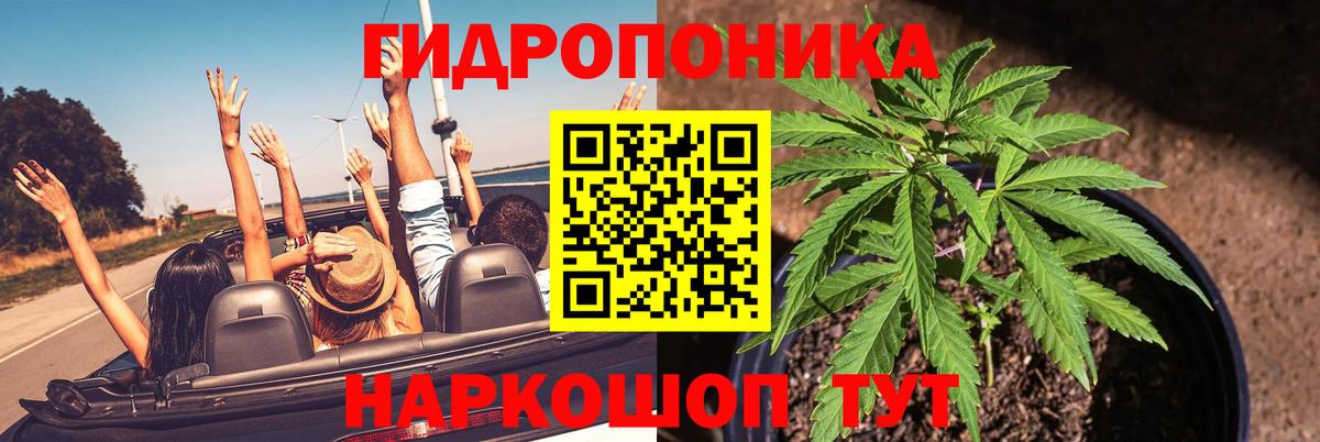 Бошки марихуана THC 21% Калач-на-Дону
